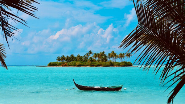 Lakshadweep Permit Cover Letter 🇮🇳